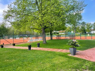 Auch nach teilweisem Punktspielende: Ein Sommer voller Tennismöglichkeiten